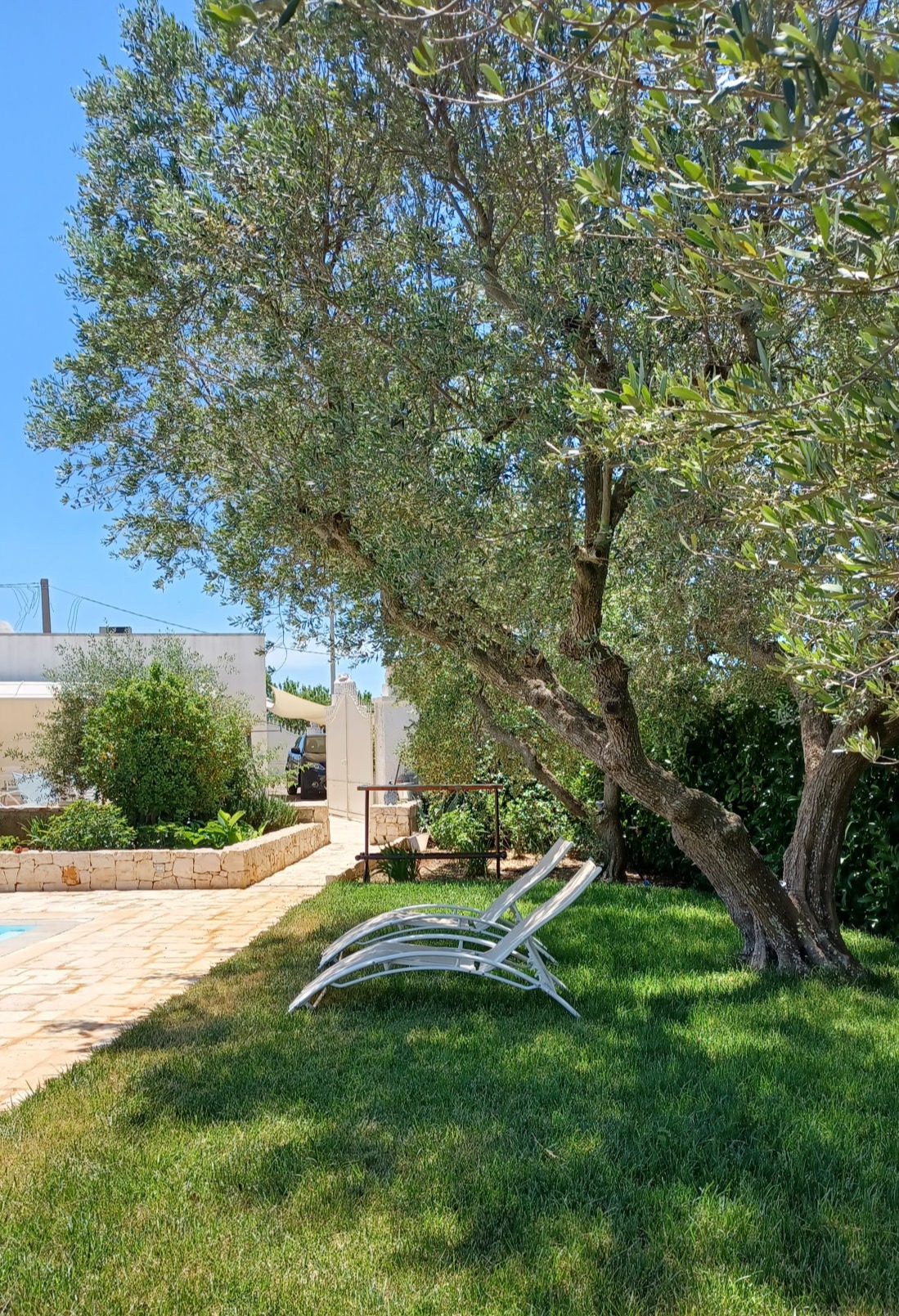 Vacanze Trulli
