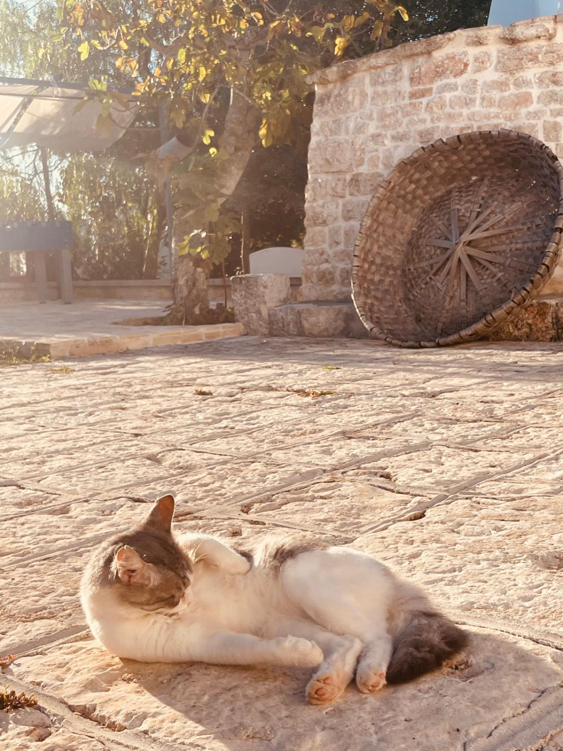 Vacanze Trulli
