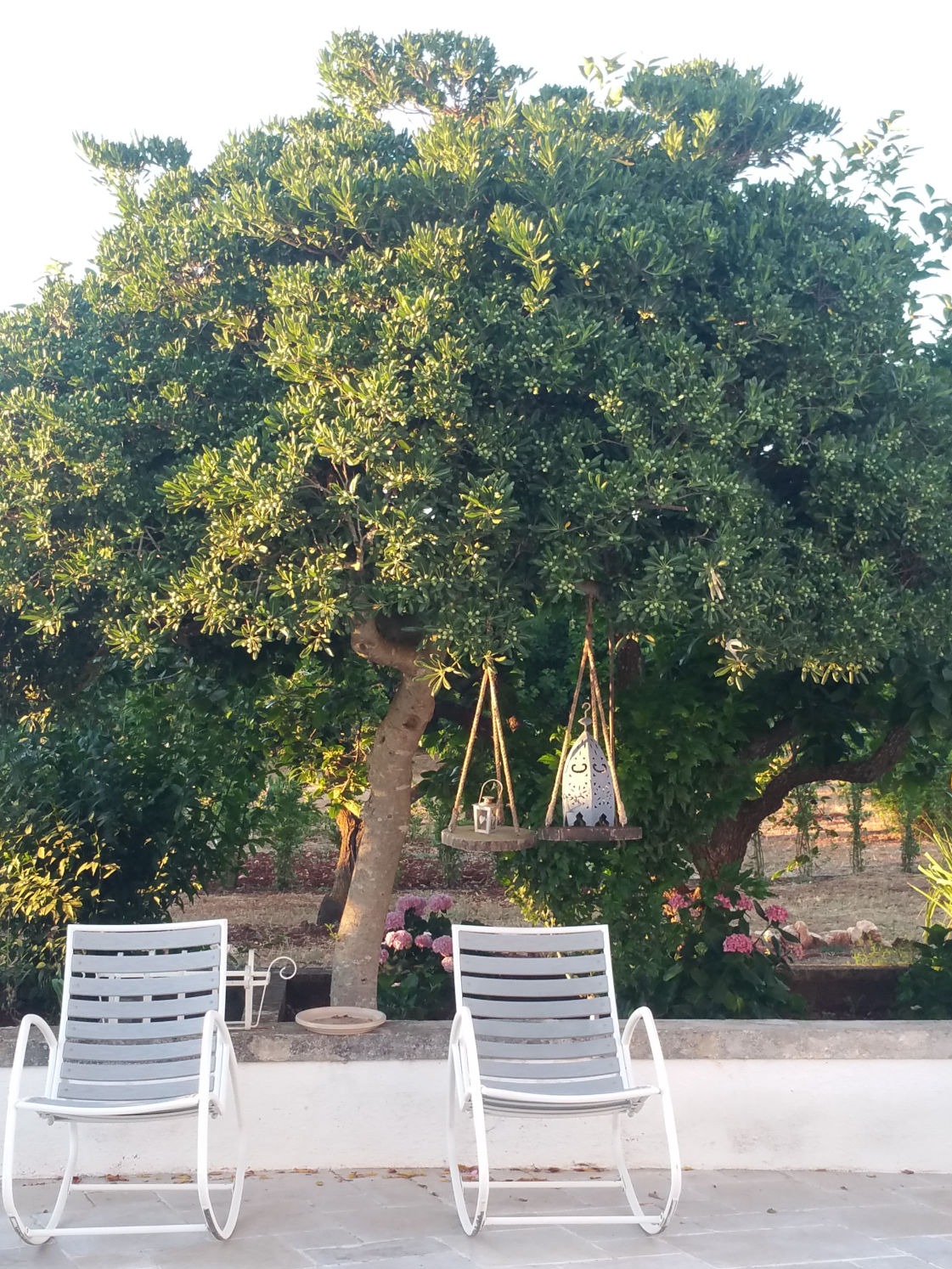 Vacanze Trulli