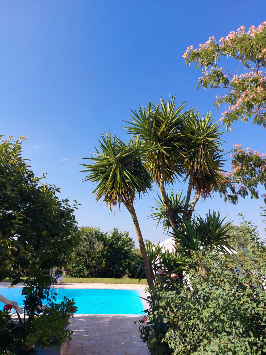 Vacanze Trulli